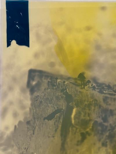 Rock with tiny fungi sprouting out. Black rectangle in the upper left hand corner with a yellow filter over the photograph