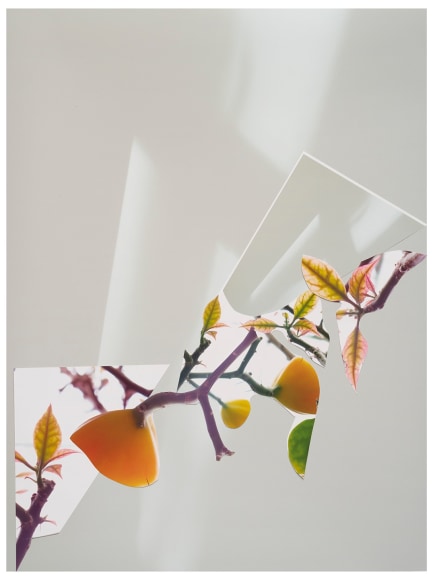 Collaged photograph by Sandi Haber Fifield