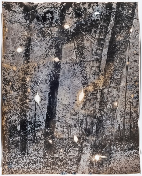 Gesche Würfel  Battle Park, NC (3), version 1, 2019-2020  Solarized and roasted gelatin silver print on glossy RC paper  14h x 11w in 35.56h x 27.94w cm  GW_006, solarized black and white vertical photograph of a forest that has been roasted in a kiln creating cracks and white areas