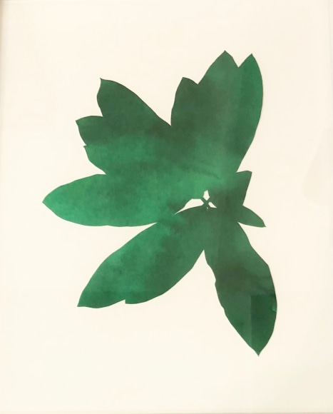 Hannah Cole  Cluster of Green Weeds, 2018  watercolor on cut paper  11h x 14w in, downtown asheville