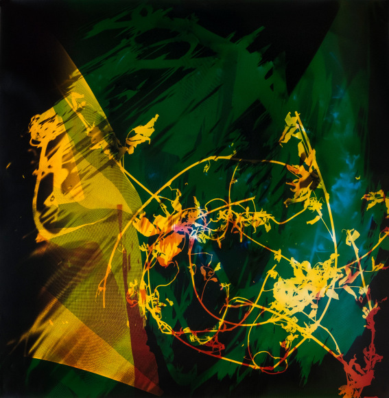 Bryan Graf  Levitating Garden 2, 2018  photogram  30h x 30 1/2w in