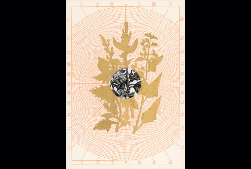 Kirsten Stolle  Lost Crops 3, 2021  Collage, ink on paper  16.25 x 11 inches  Unique, gradient orange circular grid, with collaged plant images in black and white