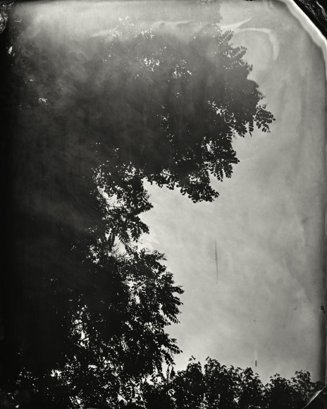 Black and white landscape tintype photograph
