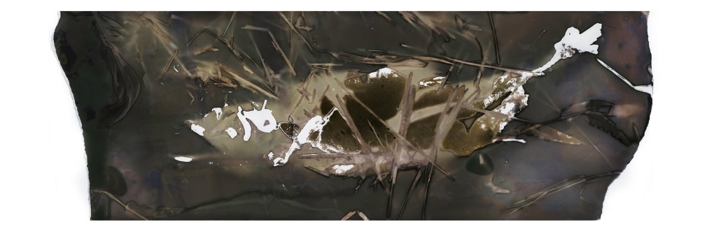 Paper is an irregular shape. There is a silhouette with a salmon going through the center of the picture.