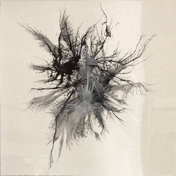 Ben Nixon  Future Proof, 2018  Acrylic on paper  15h x 15w in   Framed: 17h x 17w in. a large gangly mass of light grey to black spines emanating from the center of a white surface.