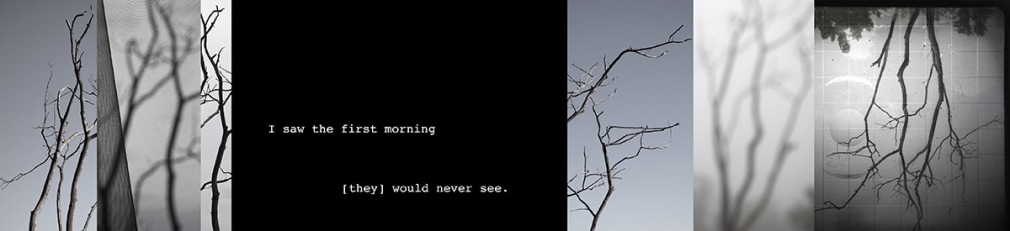 Dawn Roe  The Sunshine Bores | The Daylights (Excerpt)  Archival Pigment Print  4h x 17w in 10.16h x 43.18w cm  Edition of 10  DR_024