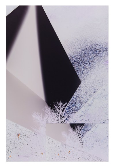 Abstract collaged photograph by Sandi Haber Fifield