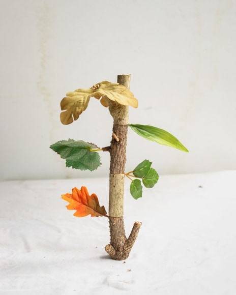 James Henkel  Hybrid From the Series Botanicals, 2020  20h x 16w in 50.80h x 40.64w cm  Edition 5  JHe_070  a thick stick with green, yellow and orange flowers on it