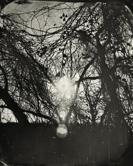 Black and white landscape tintype photograph