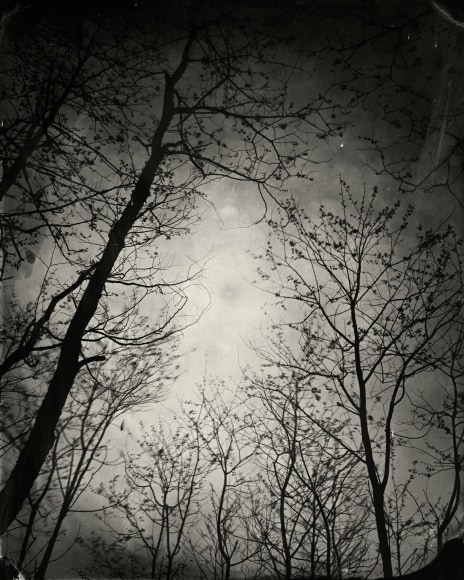 Black and white landscape tintype photograph