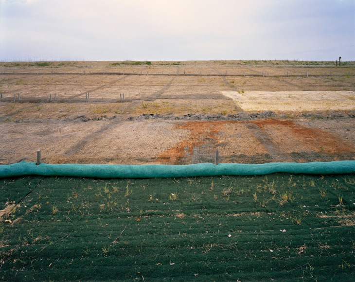 photograph of landscape netting over new grass seeds