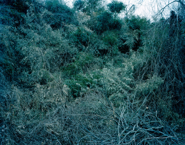 Pamela Pecchio, Hide The Sun, 2010, Archival Pigment Print, 28 1/2h x 36w in, Edition of 7, Photography