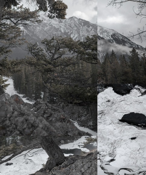 Dawn Roe Mountainfield Study (Tree, Rock and Ice), 2016 Archival Pigment Print 20h x 24w in, Edition of 3. Photography