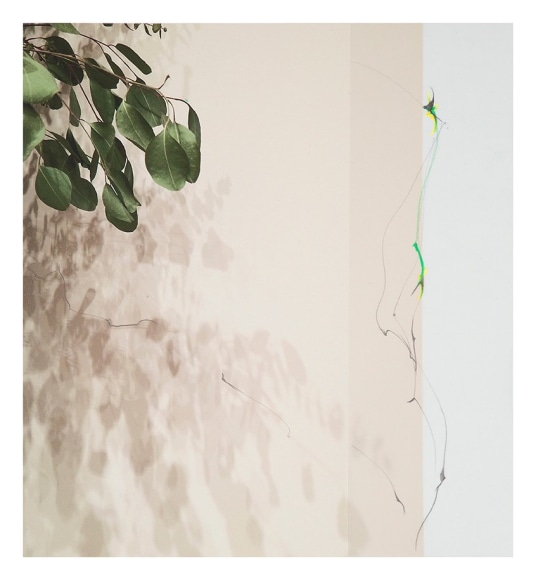 Sandi Haber Fifield  Untitled (LF17 #163), 2016  Archival Pigment Print with Mixed Media on Vellum  16h x 15w in, Unique, Mixed media