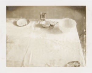 Laura Letinsky,  Untitled, 2002, from the series Time's Assignations, 2002,  Polaroid,  4 1/4h x 5 3/4w in, unique, Photography