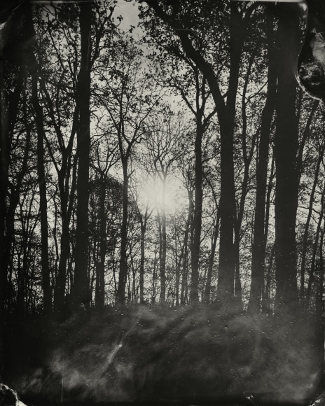 Black and white landscape tintype photograph