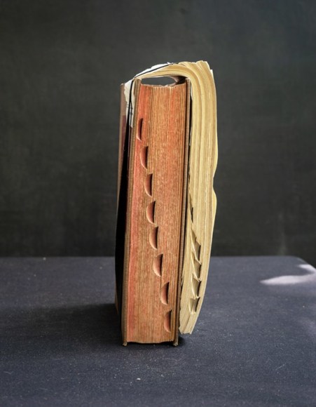 James Henkel  Indexed From the Series Books, 2020  20h x 16w in 50.80h x 40.64w cm  Edition 5  JHe_058 a book with thumb indexes on the fore-edge with pages taken from a different book with it's binding still intact strapped on
