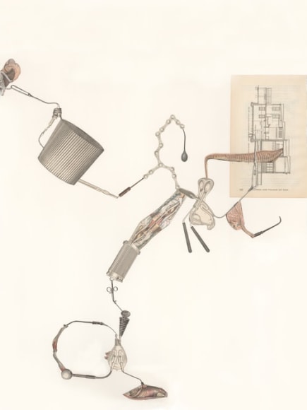 Kirsten Stolle, AP 4, from the series Animal Pharm, 2014, Collage on paper, 30h x 22w in