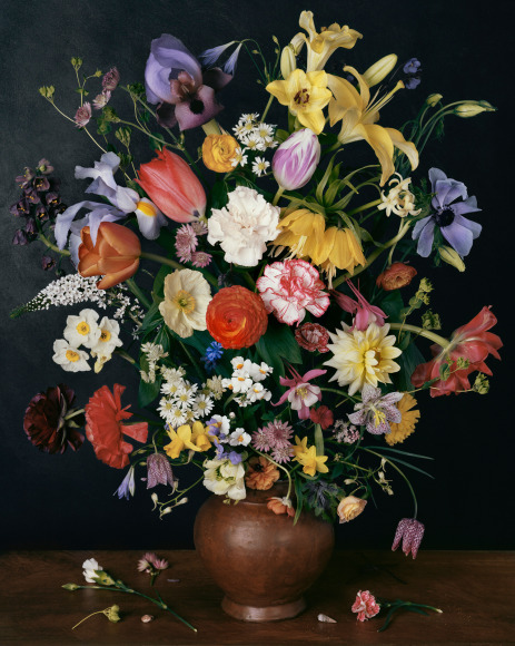 Sharon Core  1634, from the series 1606 - 1907, 2011  Archival Pigment Print  26h x 20 3/4w in, edition of 7, Photography, Contemporary art