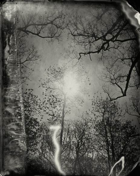 Black and white landscape tintype photograph