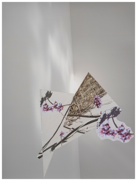 Collaged photograph by Sandi Haber Fifield