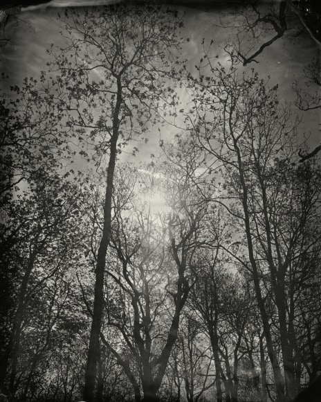 Black and white landscape tintype photograph