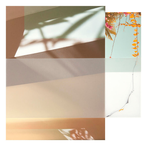 Collaged photograph by Sandi Haber Fifield