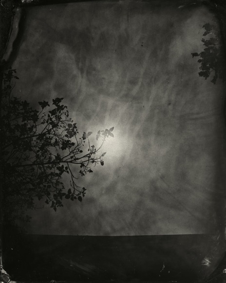 Black and white landscape tintype photograph