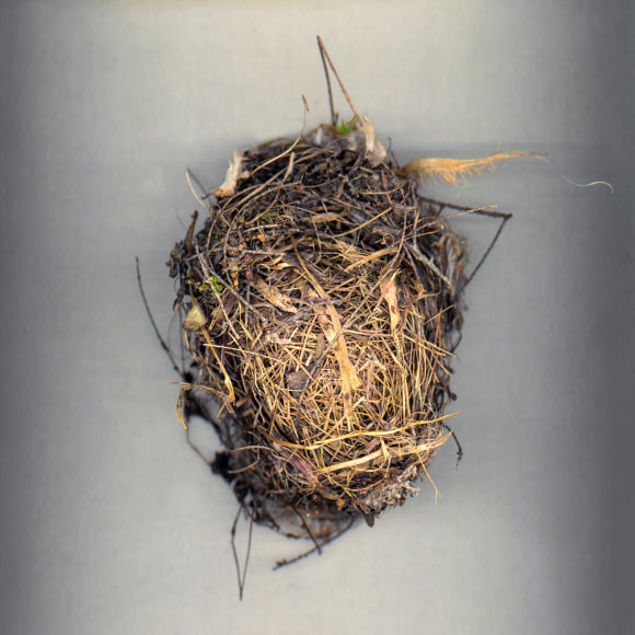 Colby Caldwell, mirror, mirrored (11), 2016  Archival pigment print mounted and waxed on Dibond, 24 x 24 inches, Edition of 5  30 x 30 inches, Edition of 5  50 x 50 inches, Edition of 3, Photographs