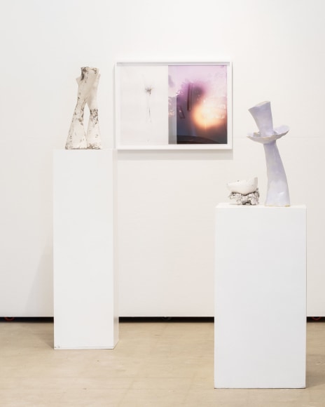 Gallery installation view of Sandi Haber Fifield and Laura Letinsky