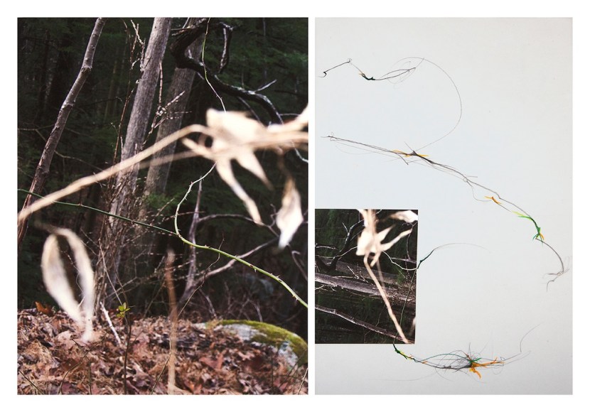 Collaged photograph by Sandi Haber Fifield