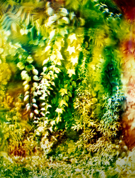 Bryan Graf  Romasco Ridge 1, 2019  Chromogenic Print  30h x 45w in