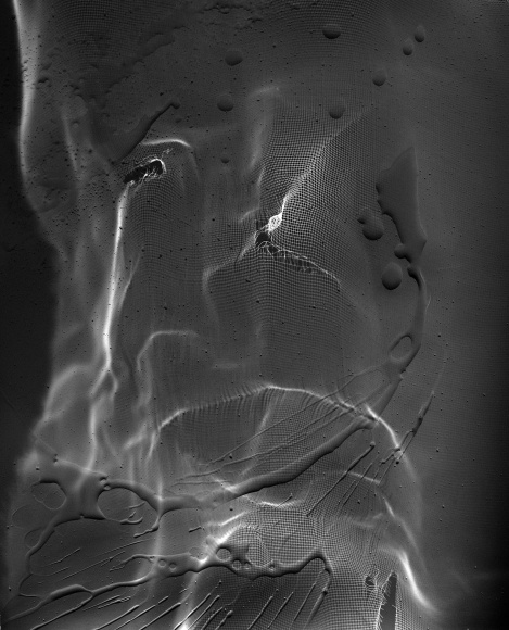 Ben Nixon  Homage for Wynn, 2016  Silver gelatin photogram  20h x 16w in, unique, Photography, Future Past