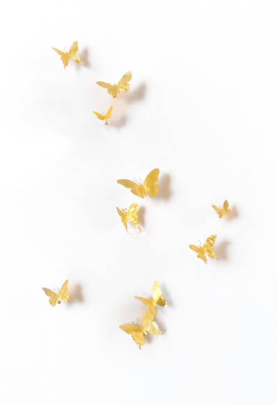 Memo (Sun), 2016, Aluminum (Found Cans), Wire, Gold Leaf, Dimensions Variable