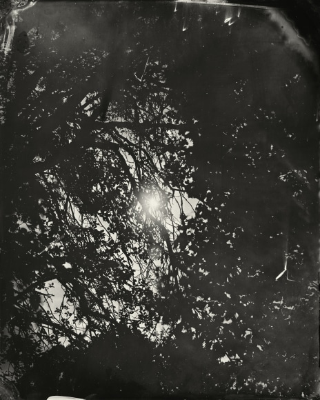 Black and white landscape tintype photograph