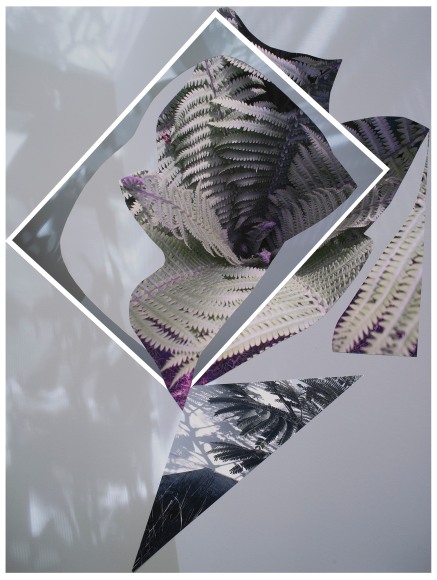 Collaged photograph by Sandi Haber Fifield