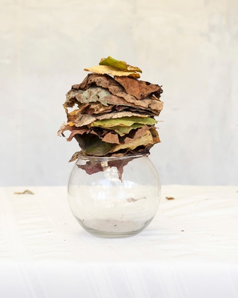 Color photograph of leaves stacked on glass vase, by James Henkel