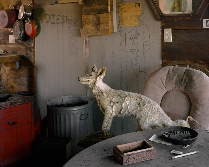 Tema Stauffer  Interior, Furgary Shack #6, Hudson, New York, 2017  Archival Pigment Print  24h x 30w in, Edition of 8  30h x 36w, Edition of 8  42h x 50.5w, Edition of 3   TS_017