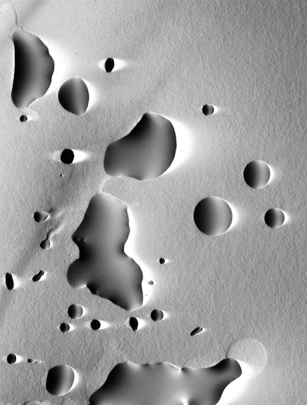 Ben Nixon  Stay Forever, 2018  unique silver gelatin photogram  2 7/8h x 2 1/8w in  Framed: 14 1/2h x 11 1/2w in. a photogram with a cold pressed paper texture with large negative droplets