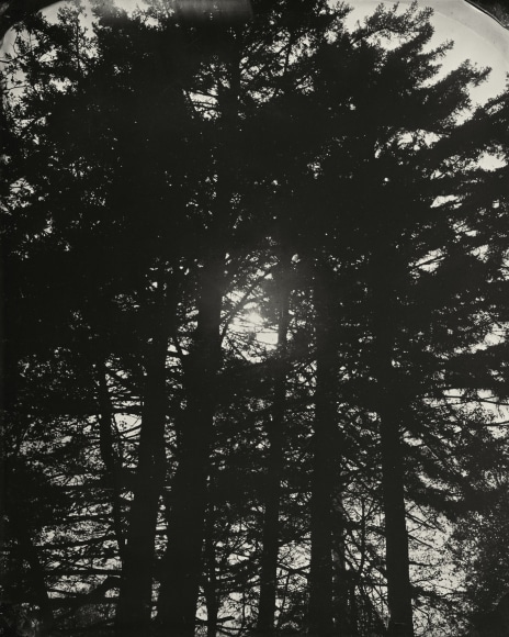 Black and white landscape tintype photograph