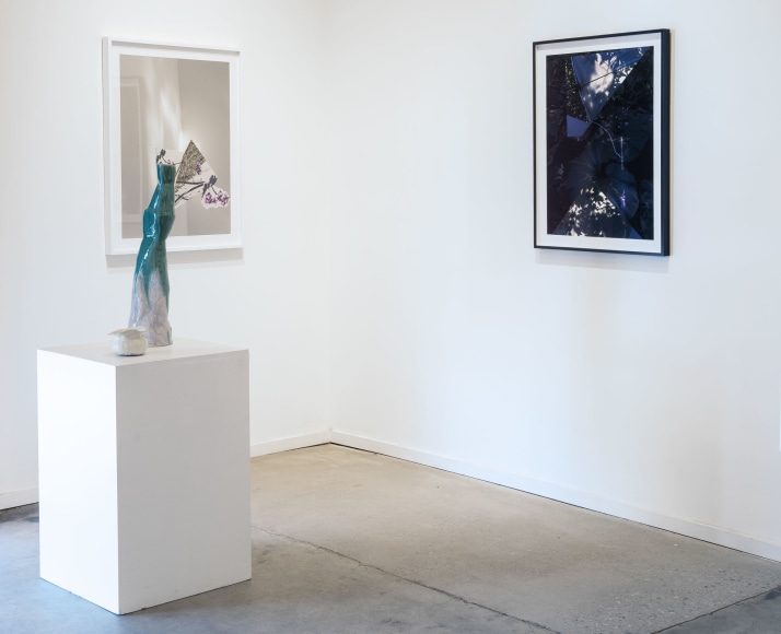 Gallery installation view of Sandi Haber Fifield and Laura Letinsky