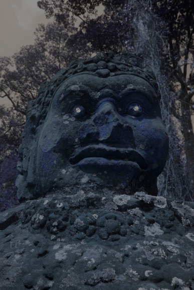 Collaged photograph by Sandi Haber Fifield