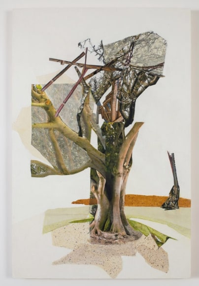 Sapling IV