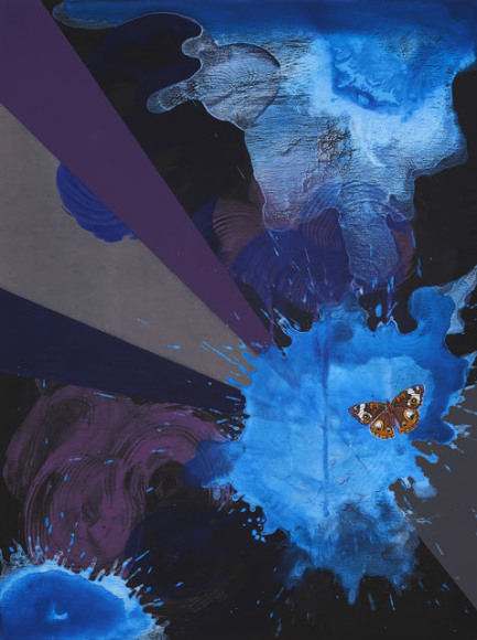 Buckeye Butterfly, 2015