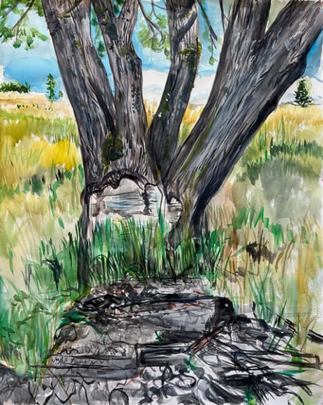 cuttreewitholdburnpile