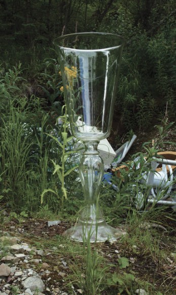 Chalice with Detritus, Lake Clark, AK, 2014