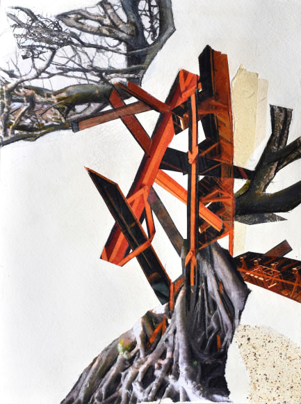 transplant series IV