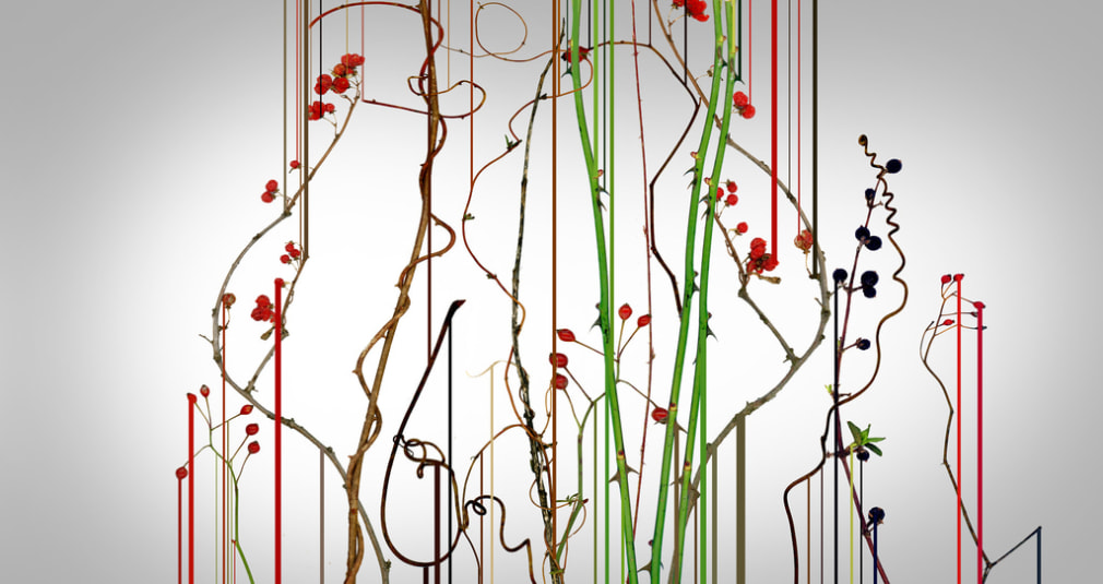 Forager Series : 18042, 1/2017, 2017