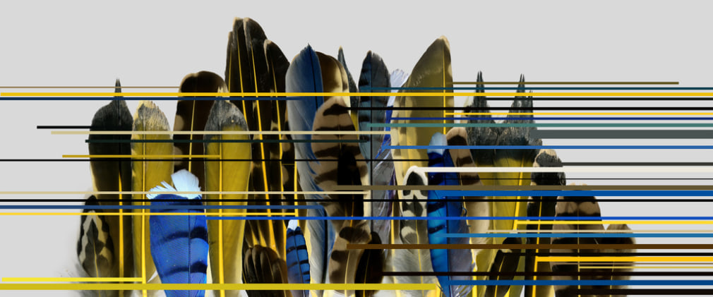 Forager Series : 18042, 3/2017, 2017