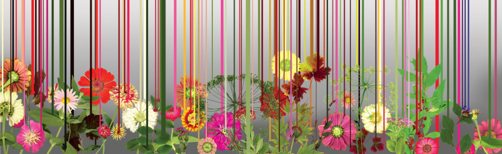 Forager Series: 18042, 9/2016, 2016